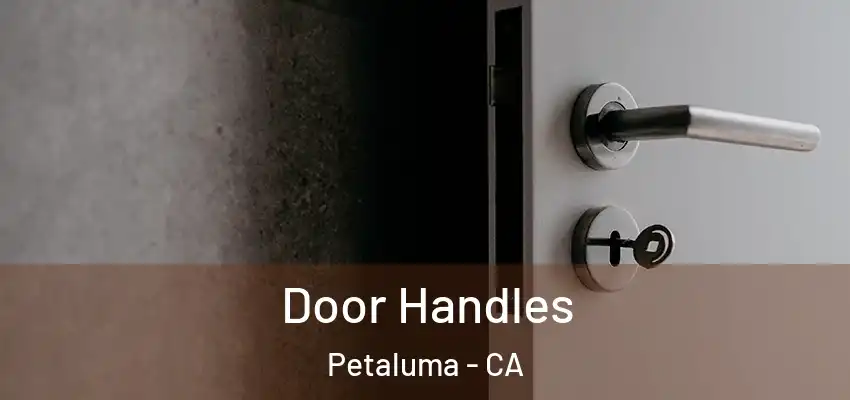  Door Handles Petaluma - CA